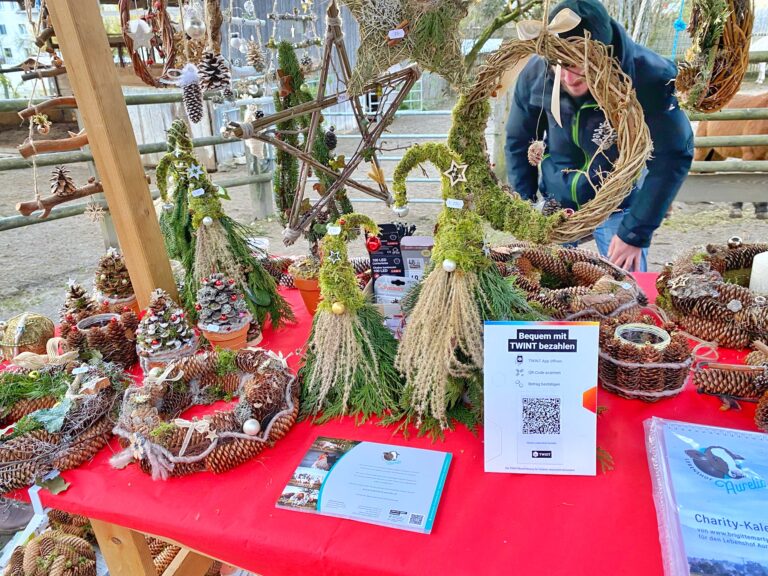 Lebenshof Aurelio: Mimis Weihnachtsmarkt