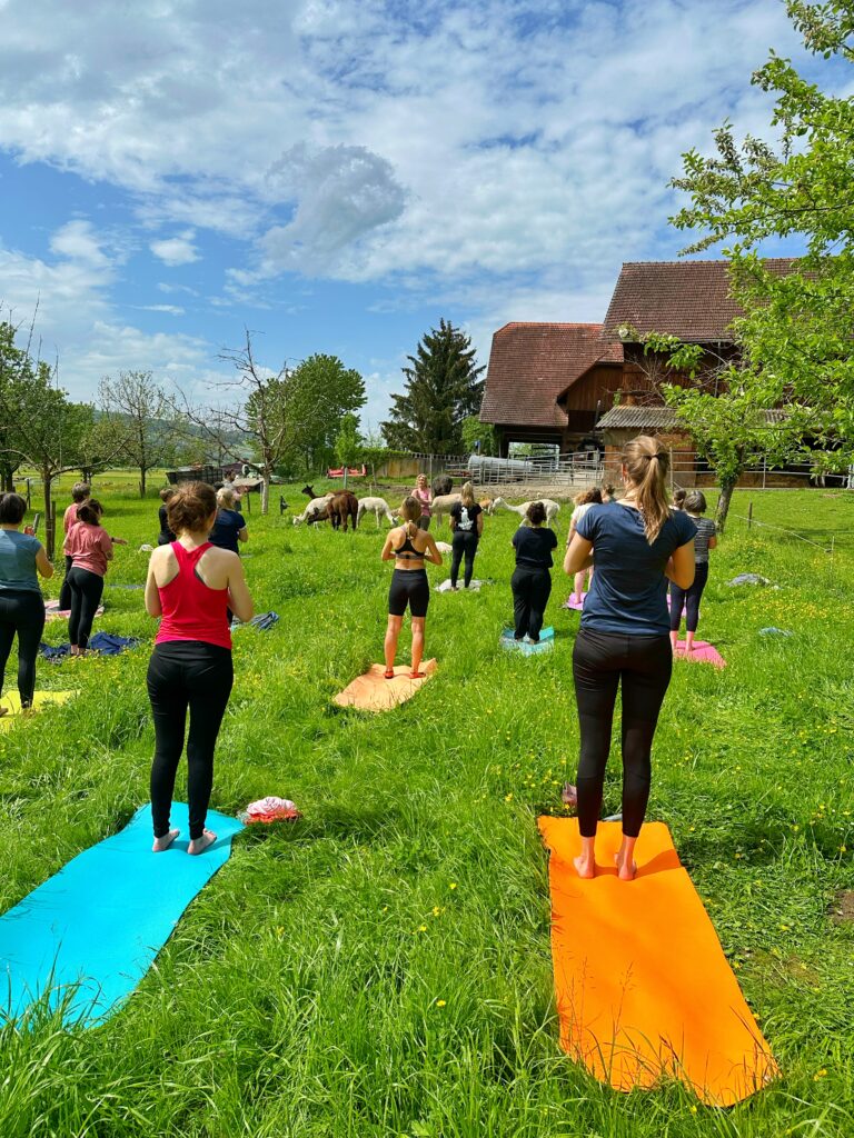 Lebenshof Aurelio: Alpaka Yoga
