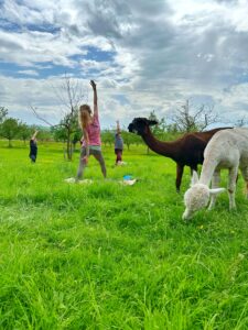 Lebenshof Aurelio: Alpaka Yoga