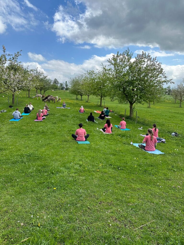 Lebenshof Aurelio: Alpaka Yoga