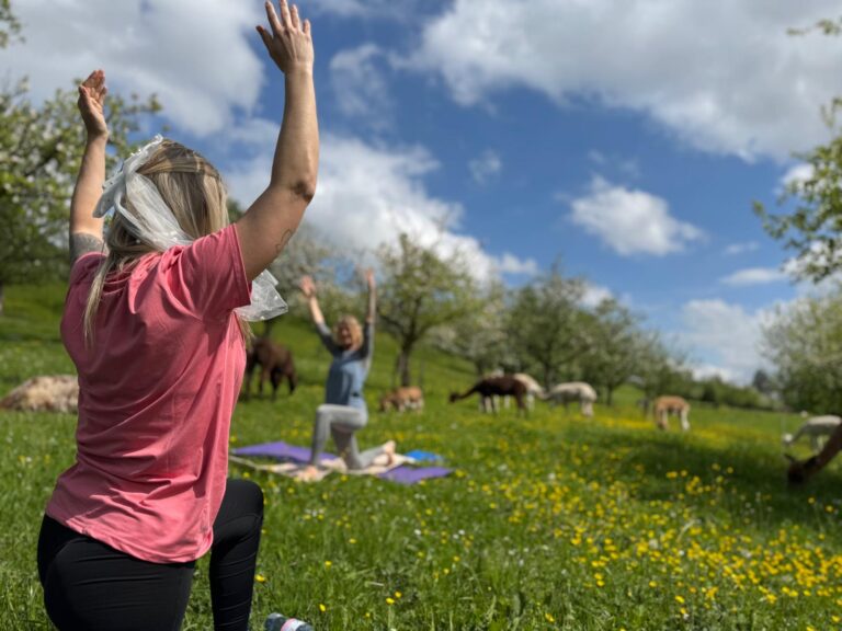 Lebenshof Aurelio: Alpaka Yoga