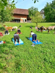 Lebenshof Aurelio: IAlpaka Yoga