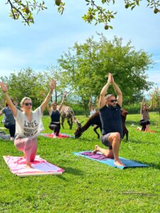 Lebenshof Aurelio: Alpaka Yoga