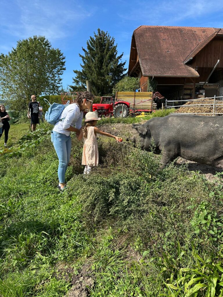 Lebenshof Aurelio: Hoftage 2025