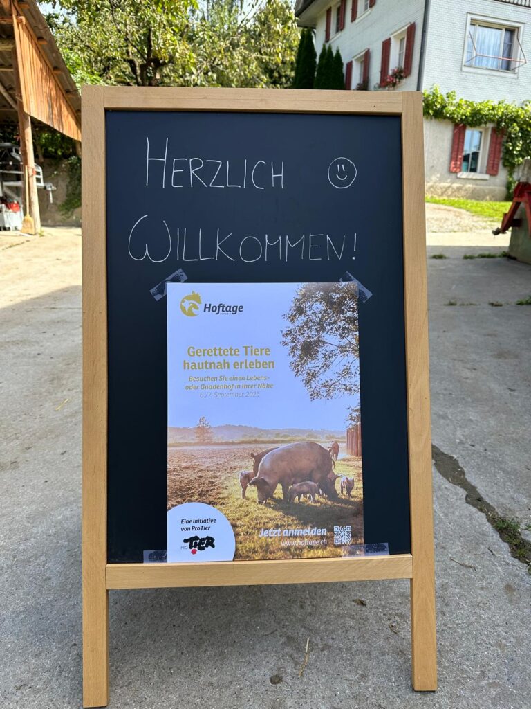 Lebenshof Aurelio: Hoftage 2025