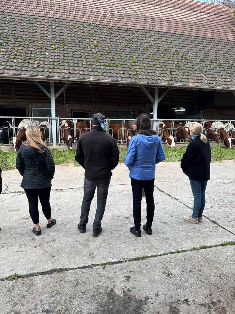 Lebenshof Aurelio: Event