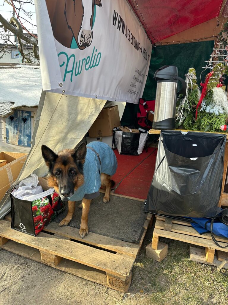 Lebenshof Aurelio: Mimis Weihnachtsmarkt, Livia