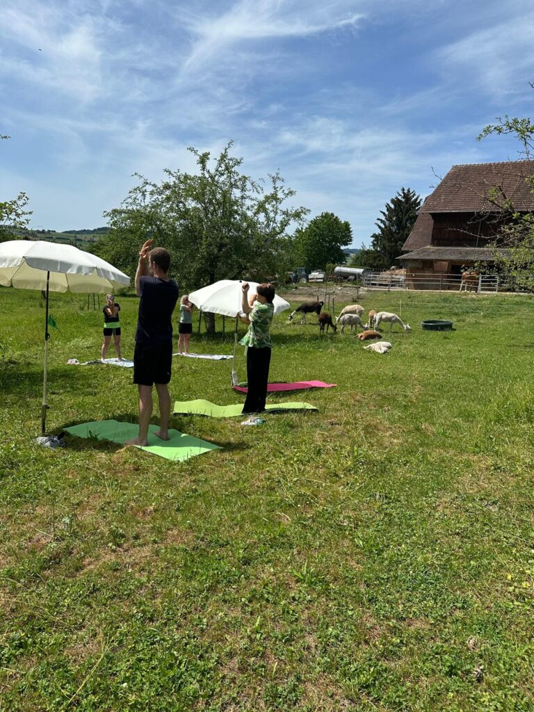 Lebenshof Aurelio: Alpaka Yoga
