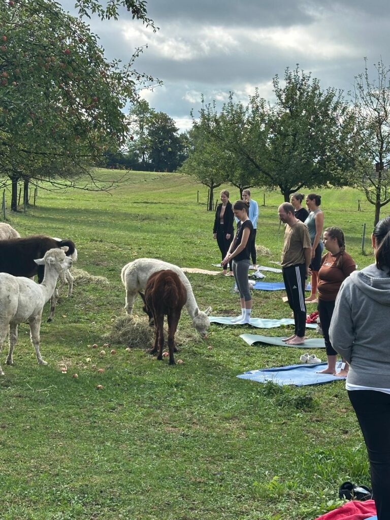Lebenshof Aurelio: Alpaka Yoga