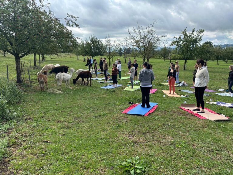 Lebenshof Aurelio: Alpaka Yoga